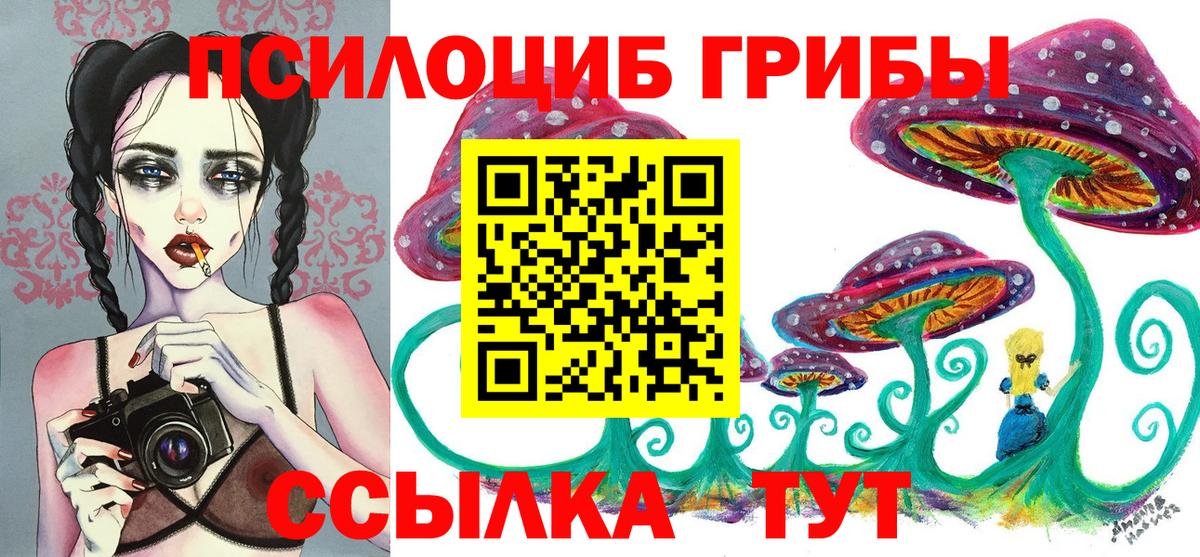 Псилоцибиновые грибы GOLDEN TEACHER Курчалой